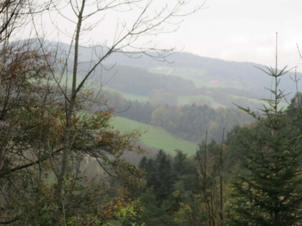 Waldpension Stachl Bromberg Eksteriør bilde